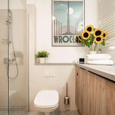 Апарт-отель Art Nad Olawa 3*