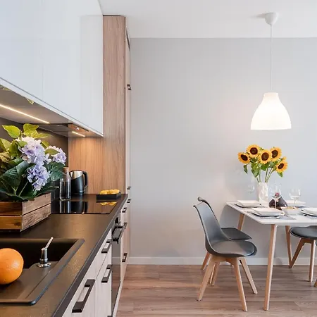 Art Nad Olawa 3* Breslavia