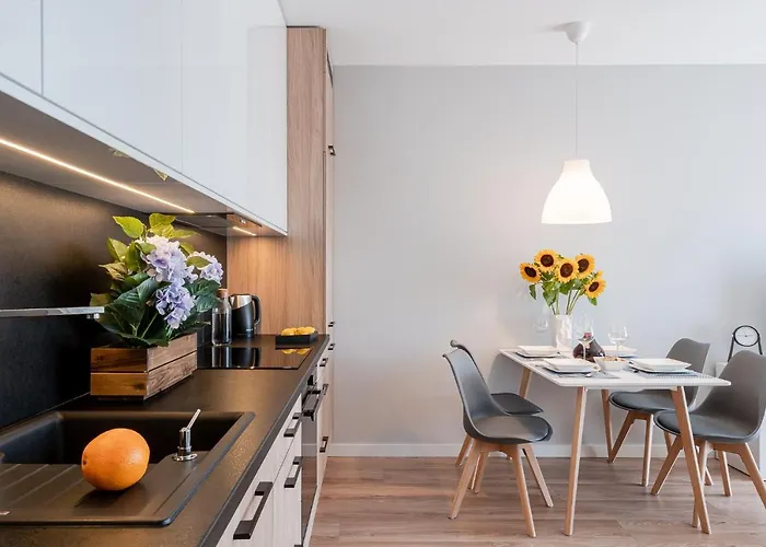 Art Nad Olawa 3* Breslavia